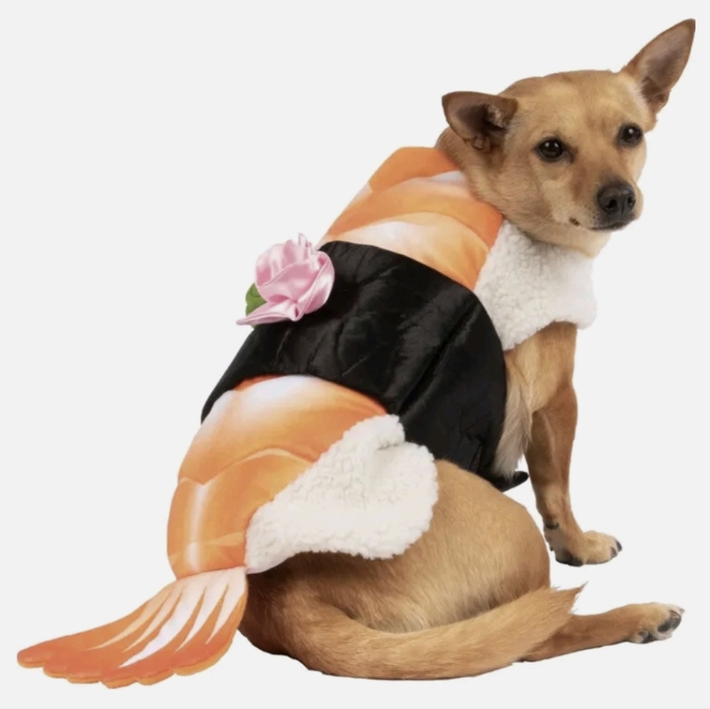 Cat dog XS /Small Sushi Shrimp Rice Wasabi ginger seaweed